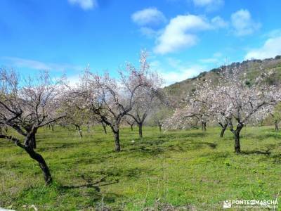 Alpujarra Granadina-Viaje Semana Santa;tejera negra guadalajara las tetas de viana parques naturales